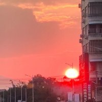 wo入机 头像