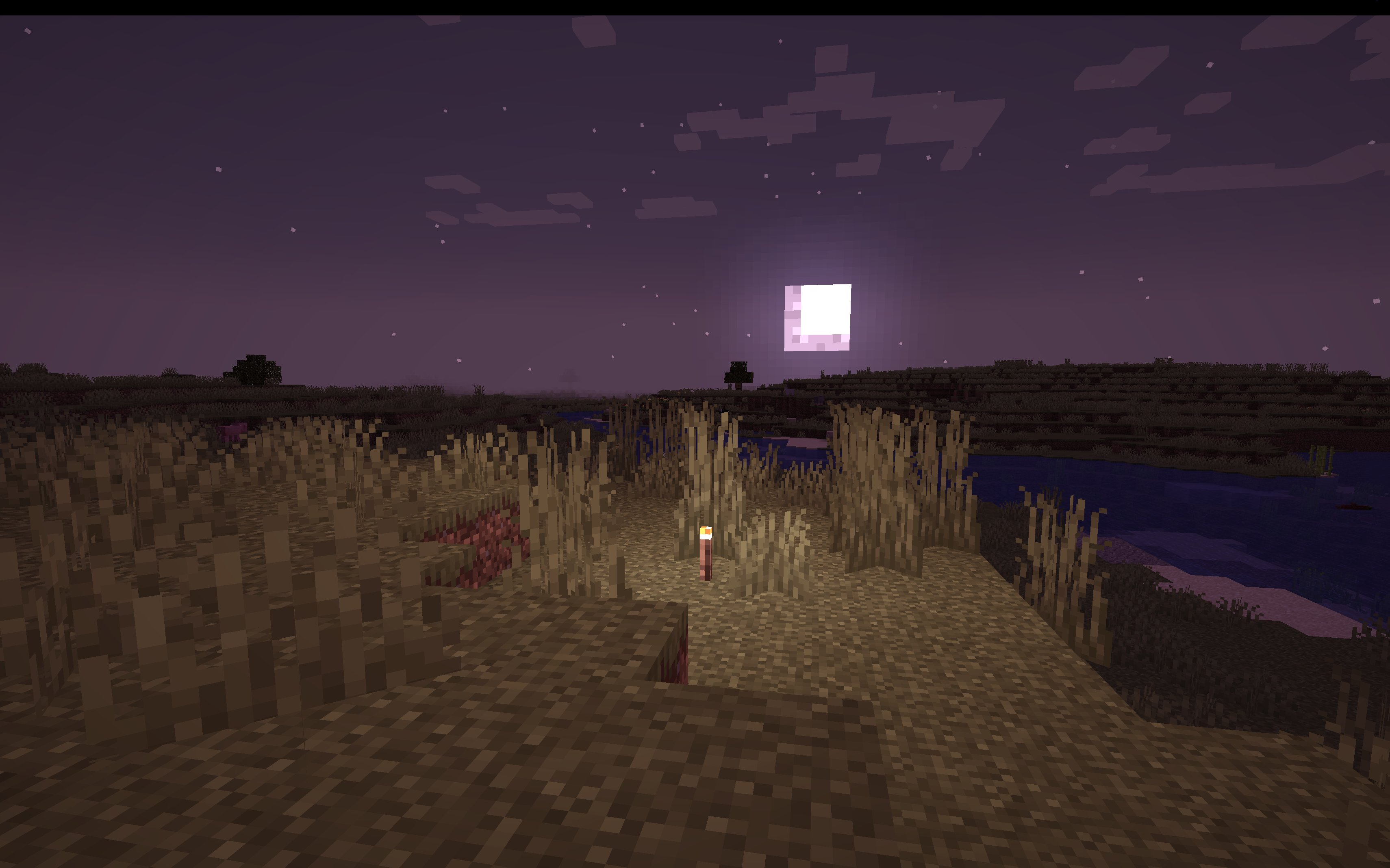 Rose World Shader