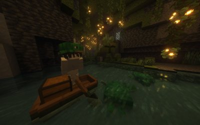 Lively Turtle Helmet
