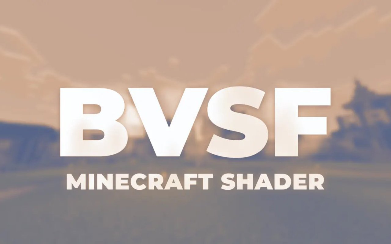BVSF 封面