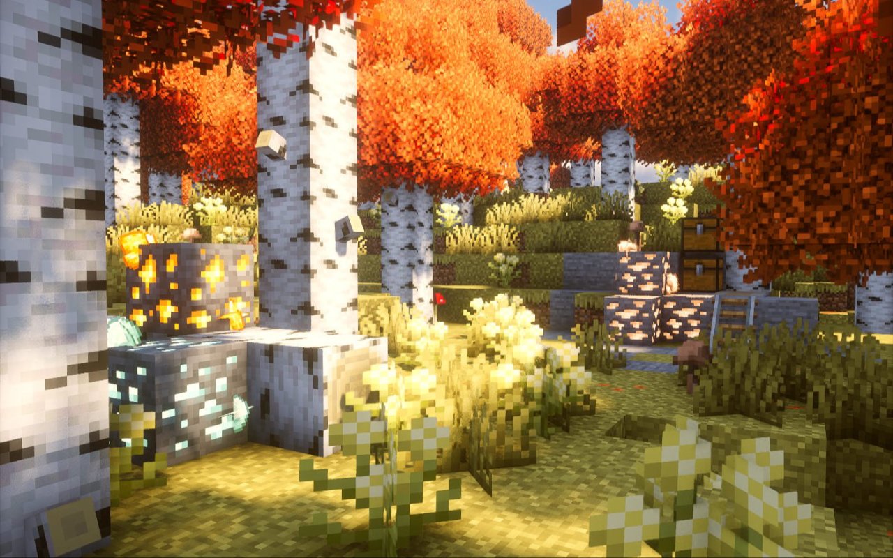Nature X 封面