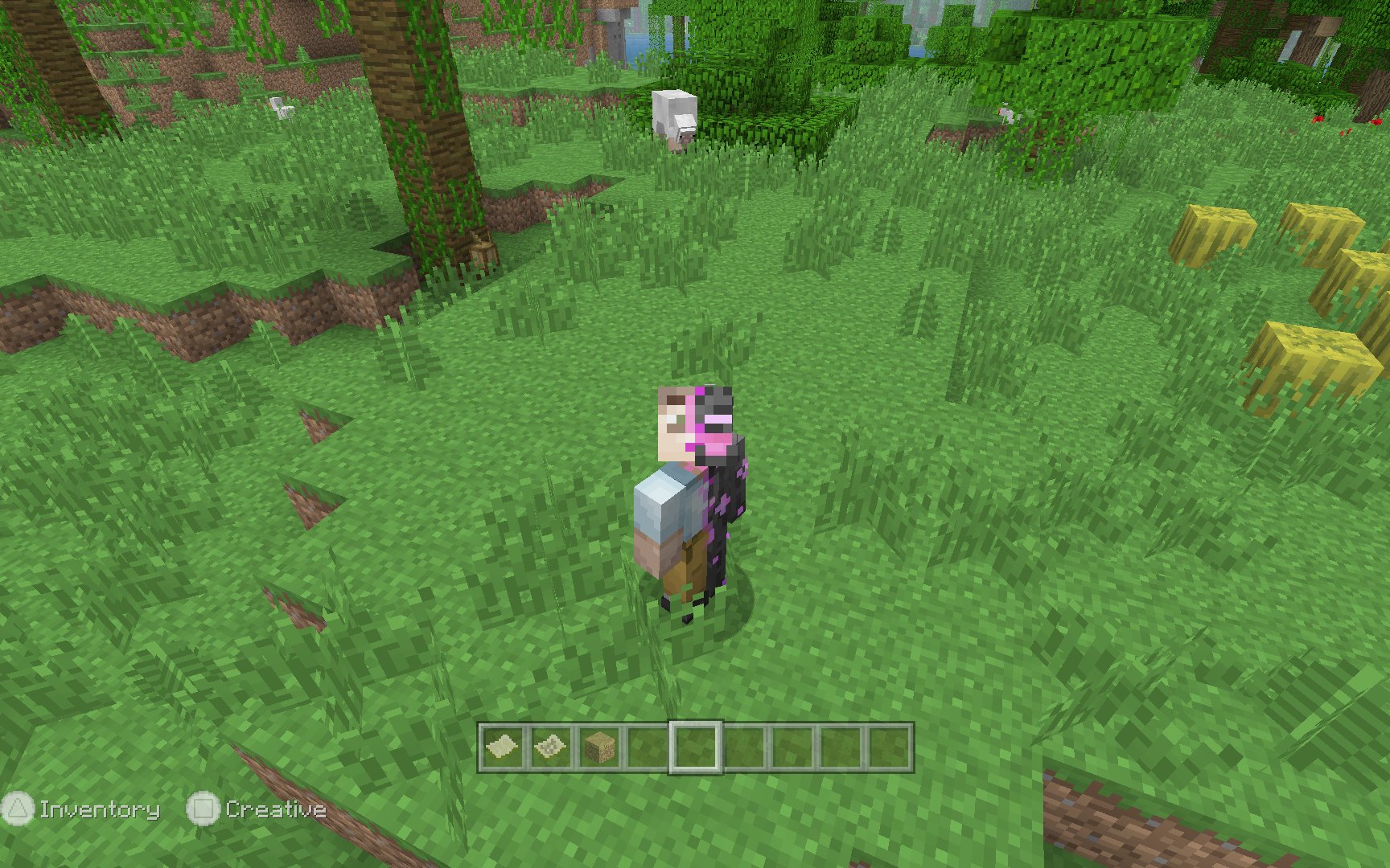 Legacy Skin Packs 封面
