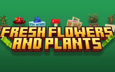 Fresh Flowers and Plants