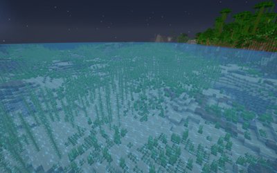 Night Vision
