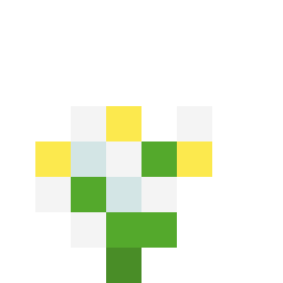 蓝花美耳草