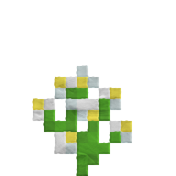 蓝花美耳草