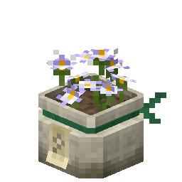 蓝花美耳草