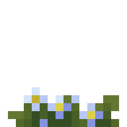 蓝花美耳草