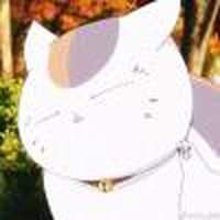 猫咪老师的头像